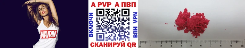 Альфа ПВП СК КРИС  Майкоп 