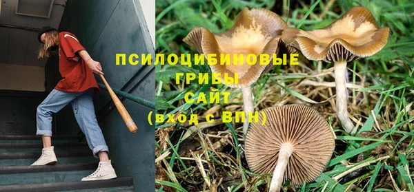кокаин колумбия Богородск