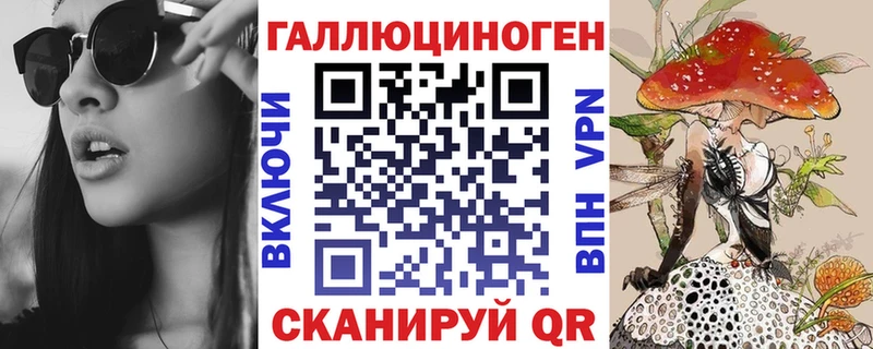 хочу   Майкоп  блэк спрут как войти  Галлюциногенные грибы Psilocybe 